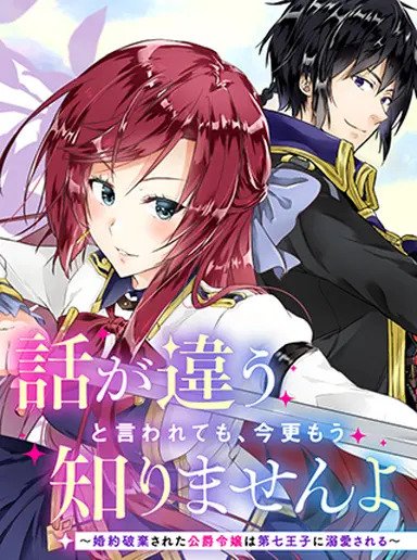 話が違うと言われても、今更もう知りませんよ～婚約破棄された公爵令嬢は第七王子に溺愛される～