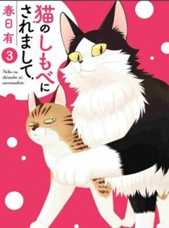 猫のしもべにされまして